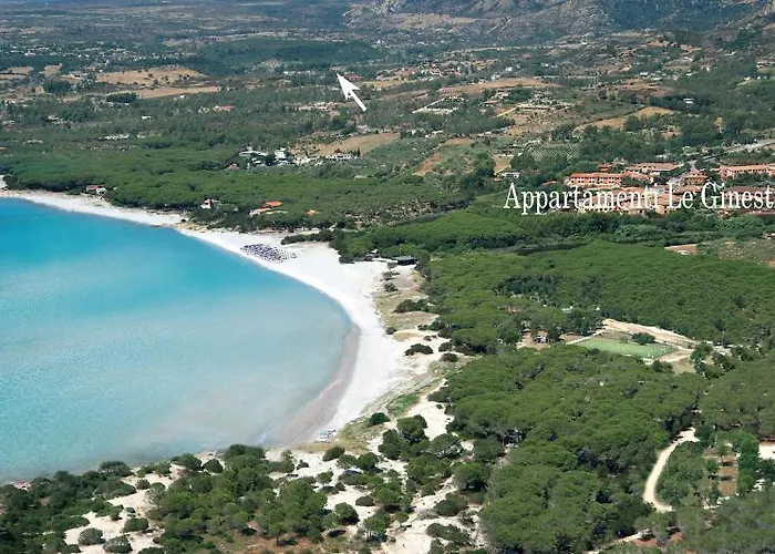 Le Ginestre E Gli Oleandri